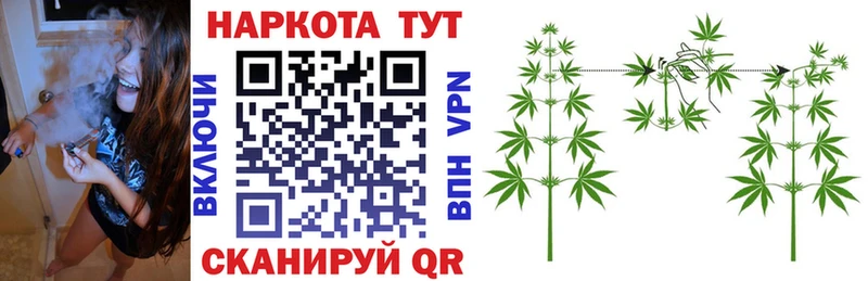 Купить Камызяк МЕГА маркетплейс Каннабис Альфа ПВП ГАШ МЕФ COCAIN