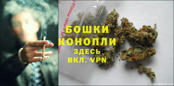 шишки Аша