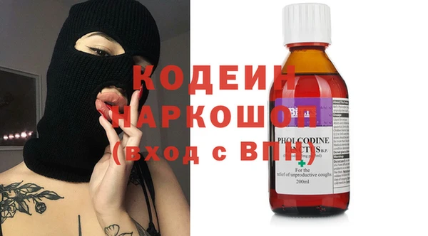 шишки Аша
