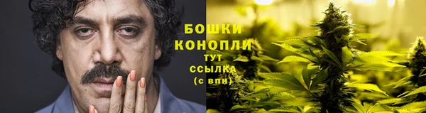 шишки Аша