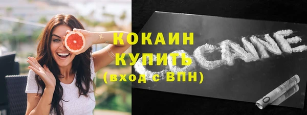 шишки Аша