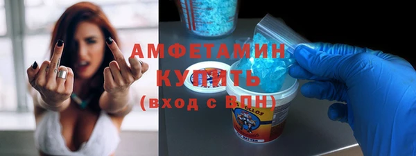 шишки Аша