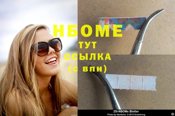 шишки Аша